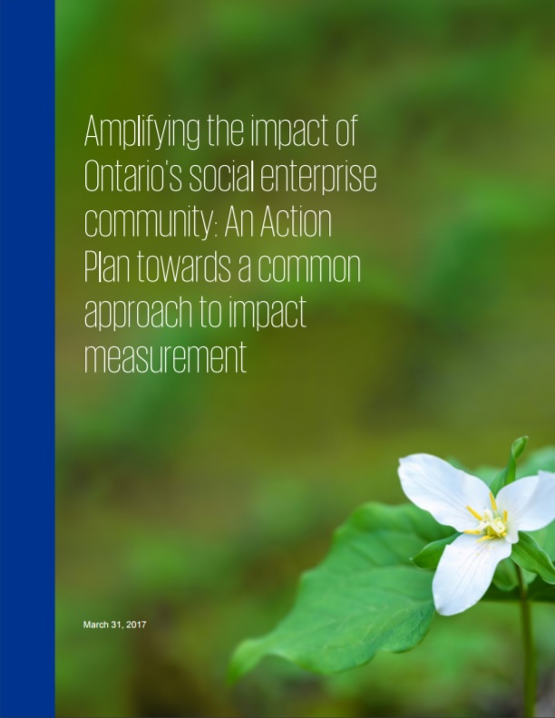 Ontario Social Enterprise Impact Measurement